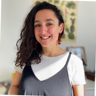 Dilara Simsek Araiz